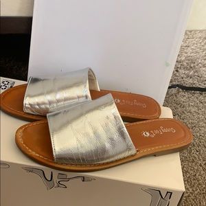 Metallic slides